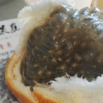 百香果苗甜百香果种苗