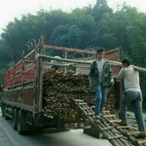基地原产地直供各类规格西瓜大棚竹片，羊肚菌用大棚竹片