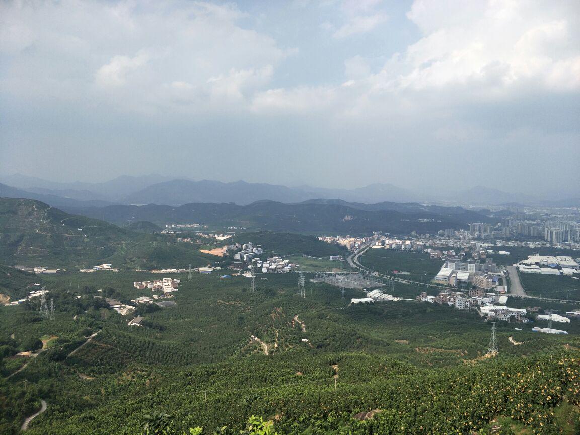 一张展示桌上摆放着印有‘琯溪红心蜜柚’地理标志的精美礼盒,旁边陈列着由红心蜜柚制成的衍生产品,包括玻璃瓶装果汁、透明袋装果干、小瓶精油和纸盒包装的果茶,整体布局整洁高端,体现品牌化与产业化发展趋势 琯溪红心蜜柚礼盒与加工产品展示图