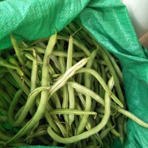 干豆角