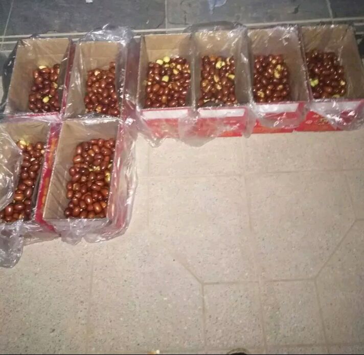 多种规格的枣油桃8号包装展示,包括透明塑料盒装(内衬海绵托)、牛皮纸礼盒、真空独立小包装,背景为现代化分拣车间,工人正在使用智能选果机按重量和糖度分级,旁边摆放电商平台快递箱 枣油桃8号包装与销售场景图