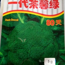 西兰花种子
