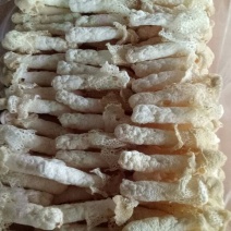 干竹荪一级