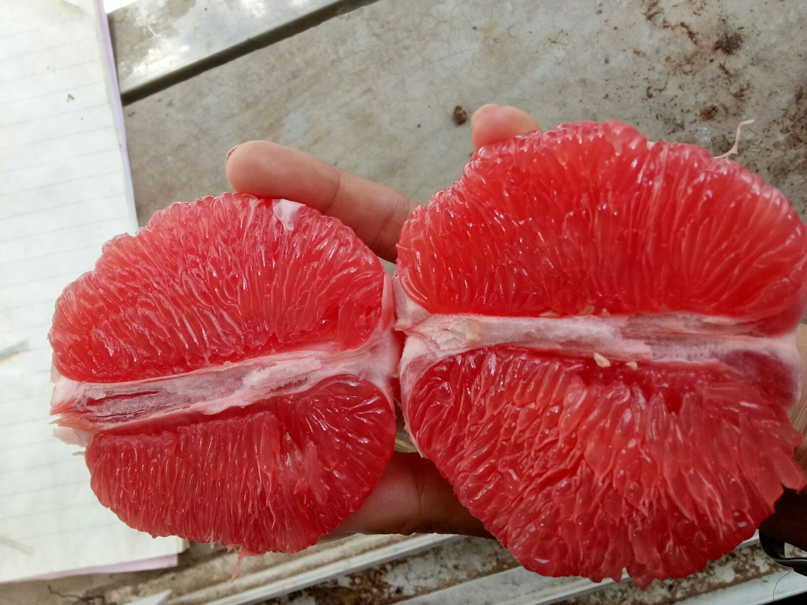 一个新鲜的红色葡萄柚被横向切开,露出饱满多汁的果瓣,果肉呈鲜艳的粉红色,表面有晶莹水珠,背景为木质砧板和绿叶衬托,突出其自然健康的形象 葡萄柚切开特写