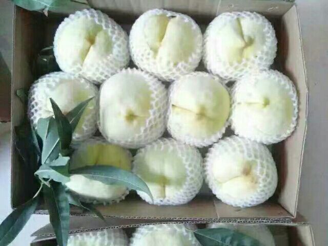 寿桃成品展示图