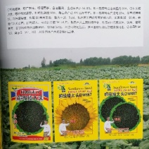 葵花种子