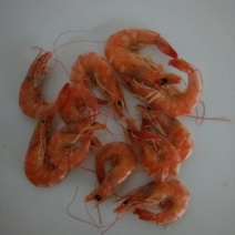 对虾干