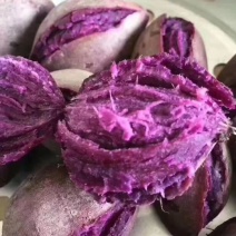 紫薯全粉