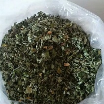 辣木茶特级