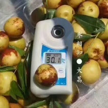 大荔冬枣