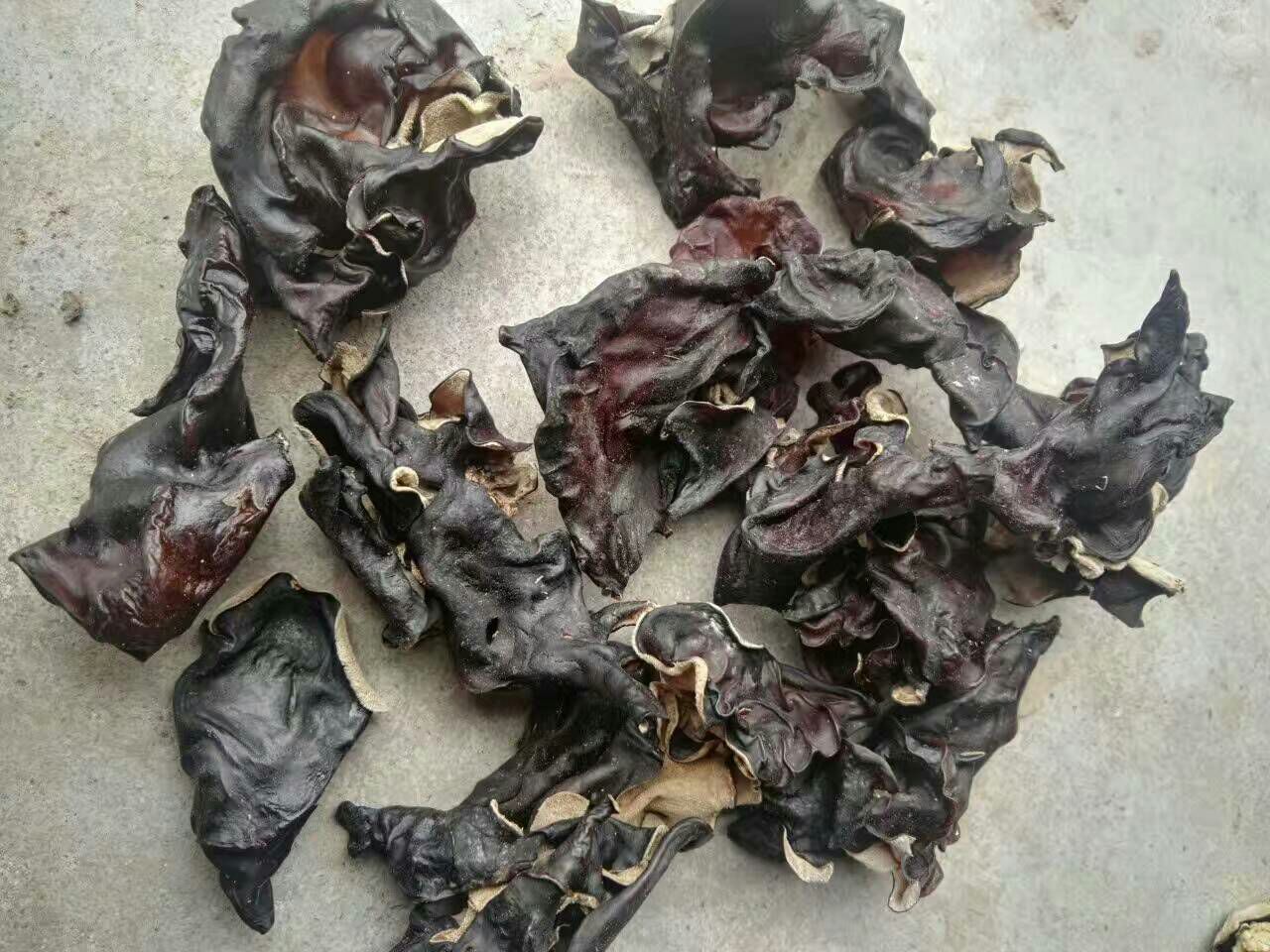 展示核桃菌的清洗、切片和焯水全过程,突出处理细节 核桃菌清洗处理过程