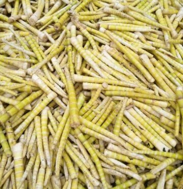 干笋鲜笋石竹笋方竹笋干