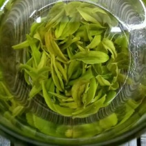 【有好货】富硒茶高原云雾茶250g/袋包邮