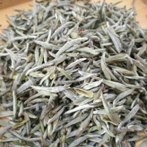 福鼎白茶特级