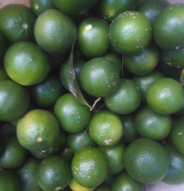 容县本地土柠檬,一件代发,奶茶店,美食配料