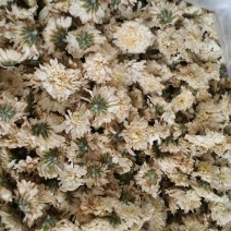 菊花茶三级