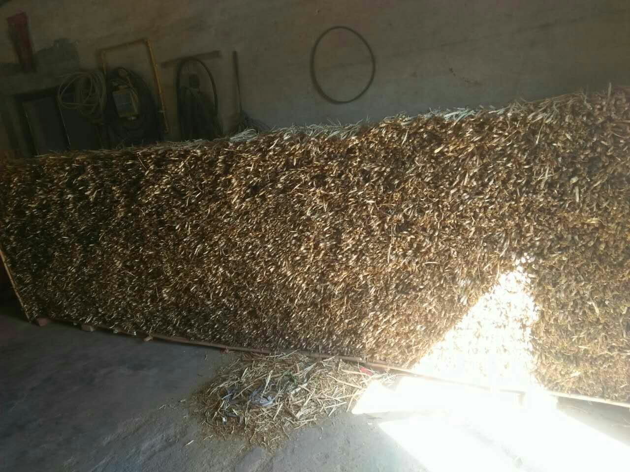 一个传统中药材市场的摊位上,摆放着多捆用稻草扎好的沙参药材,每捆约手掌大小,整齐排列在木质托盘中,背景可见其他药材和秤具,体现真实的交易场景 中药材市场中的扎参捆装展示