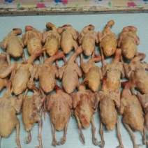 冰冻乳鸽