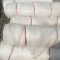 防虫网60目80目100目，耐老化大棚防虫防鸟蚂蚱网
