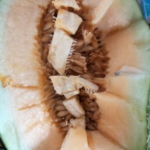 西州蜜瓜3斤以上长圆形
