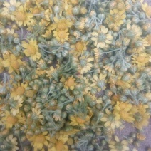 野菊花统货