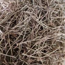 花生糠特粗