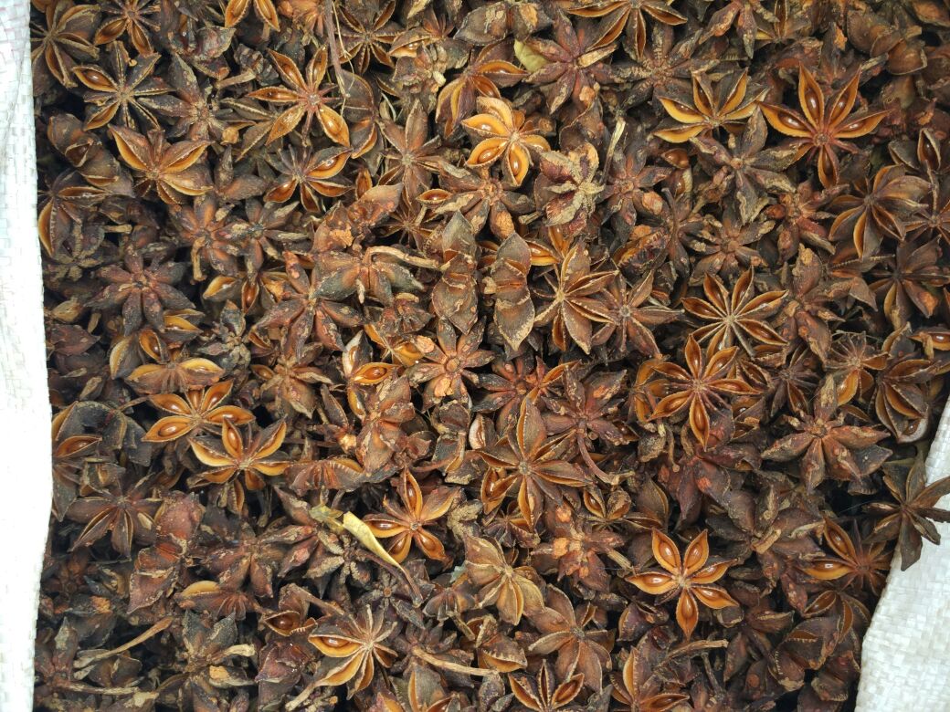 五香蚕豆卤制过程