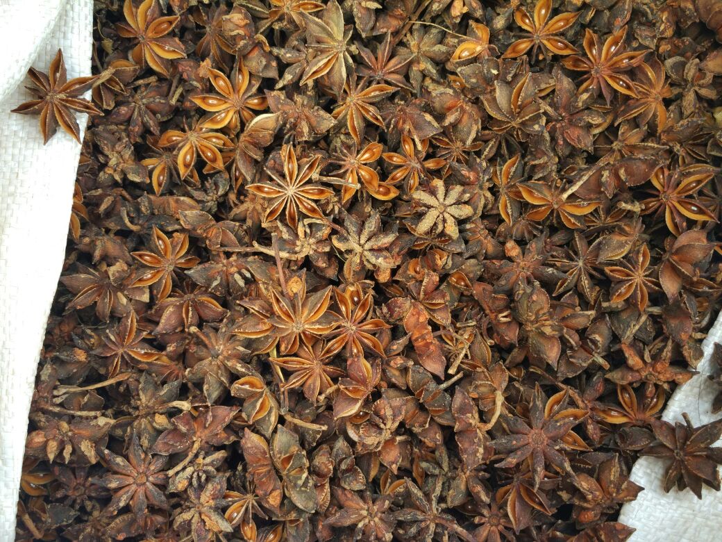 八角选购指南示意图