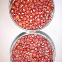 红小豆袋装