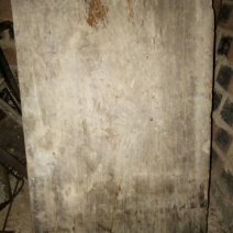 楠木4m以上8~10cm