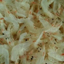 虾皮特级