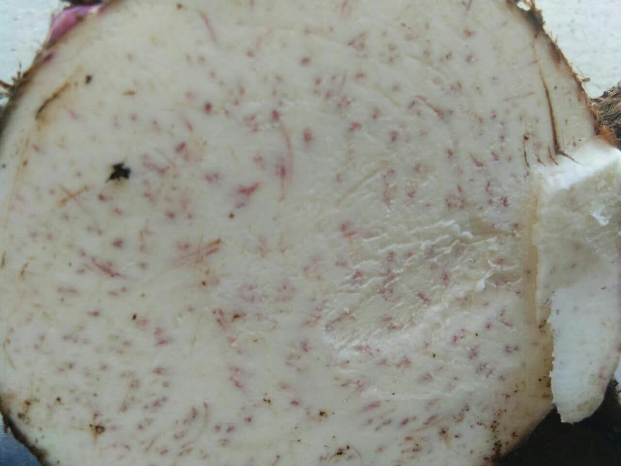 紫心香芋切面展示其独特紫色