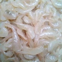 河虾尾