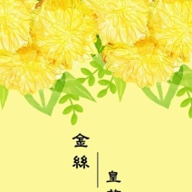 金丝皇菊茶特级