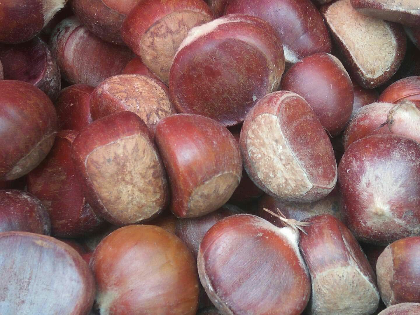 展示栗子在中医典籍中的药用记载及现代营养学分析对比图表 栗子药用价值说明图