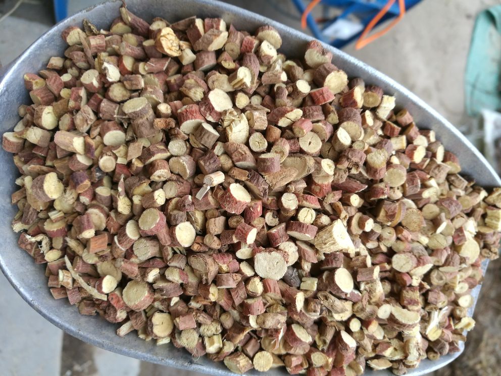 中医经典文献中甘蓝性味归经可视化表达:突出'性寒,归肝、胃、大肠经'核心信息,配以传统水墨风格增强专业可信度 甘蓝性味归经示意图:手绘风格中医经络图,标注肝、胃、大肠三条经脉走向,甘蓝图标位于三经交汇处,背景为淡青色水墨底纹
