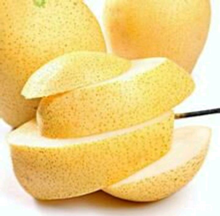 一颗完整的雪花梨,表皮呈黄绿色,切开后果肉洁白细腻,展示其清脆多汁的特性 雪花梨特写