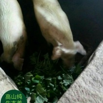 香肠