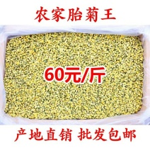 杭白菊散装