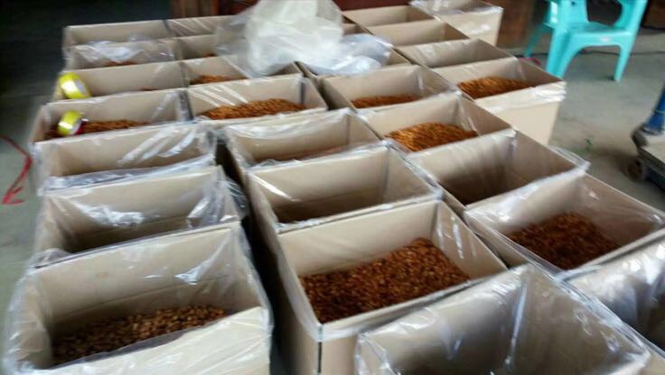 桂圆干成品展示图