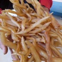 天门冬