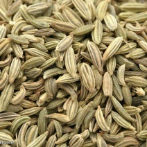 茴香籽