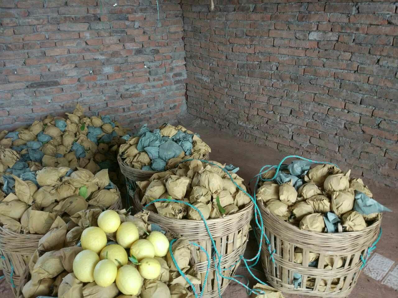 安岳柠檬在厨房中的储存与使用场景