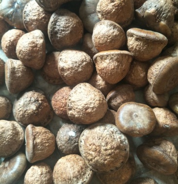 [风流果批发]野生风流果 风流果价格23.00元/斤 - 一亩田