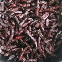 牛肉干黄牛肉鲜肉