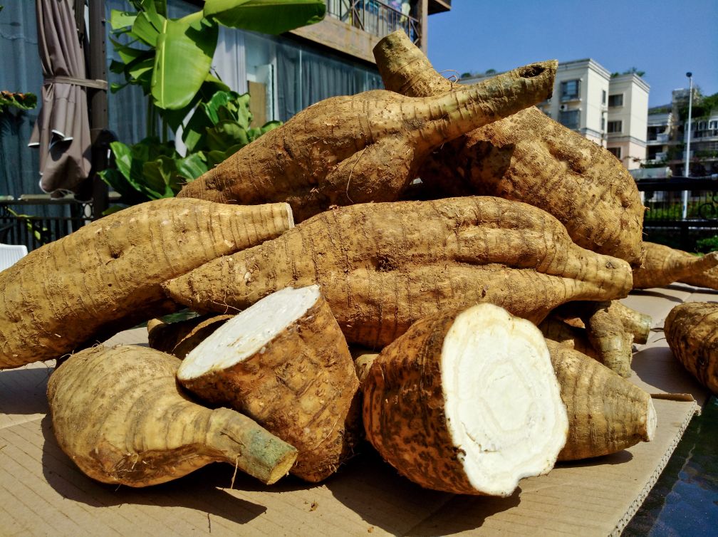 展示新鲜粉葛去皮的过程,露出洁白的果肉 粉葛去皮过程