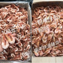 红虾食用活虾