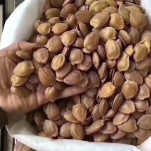 杏仁特级