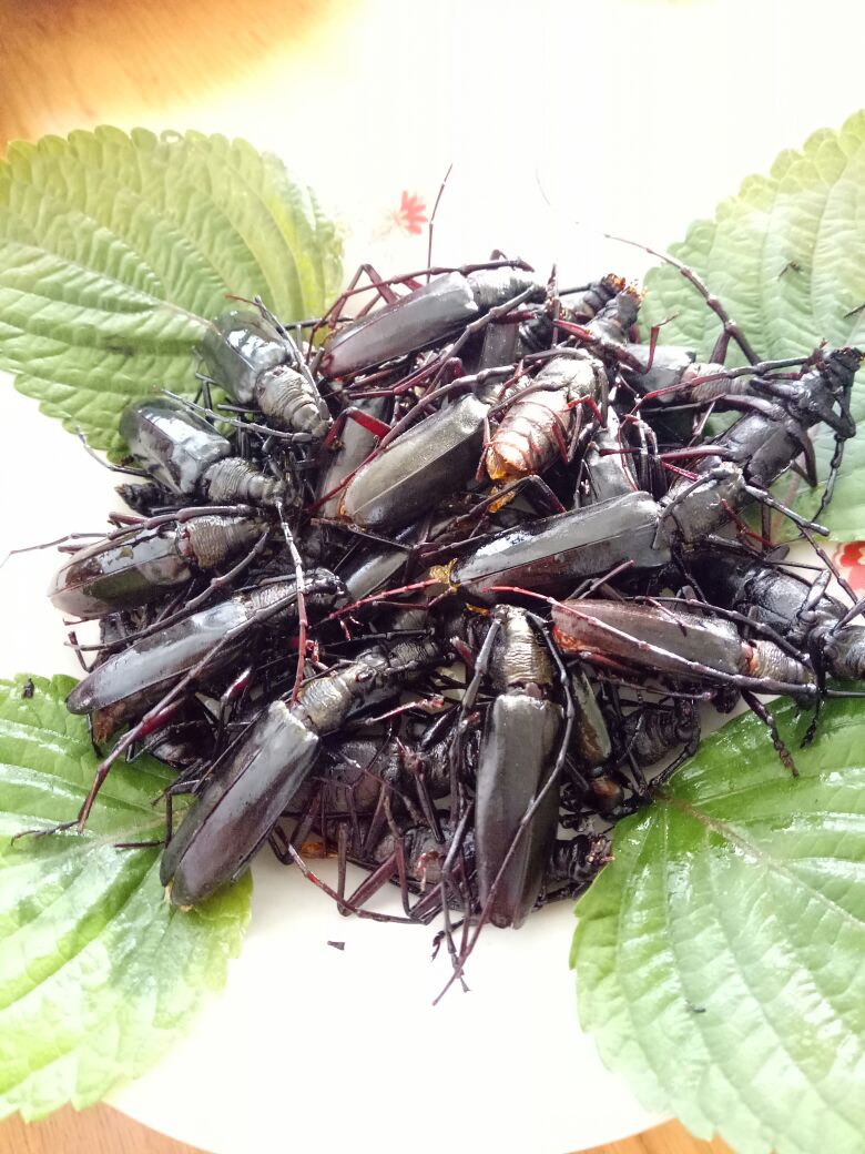 详细规格 :    【联系我时,请说是在一亩田上看到的】