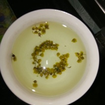 野菊花罐装
